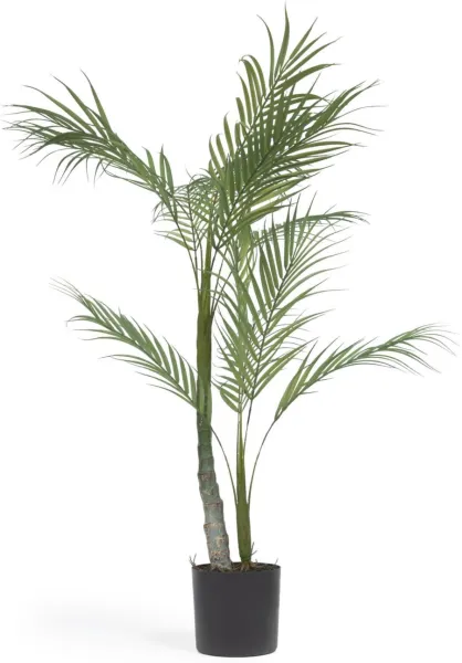Palmera, Mesterséges növény, fekete, H70x70x60 cm