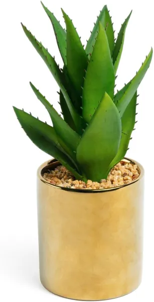 Agávé, Mesterséges növény, arany/zöld, H11x20x20 cm