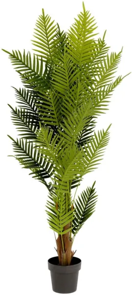 Palmera, Mesterséges növény, zöld/fekete, H150x70x70 cm