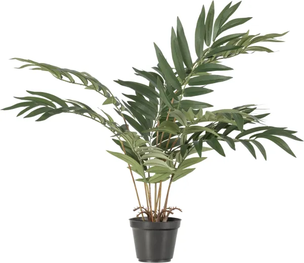 Kwai, Mesterséges növény, zöld, H68x50x51 cm