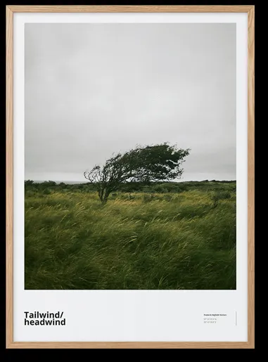 Peléton Tailwind / Headwind 50x70 Poszter