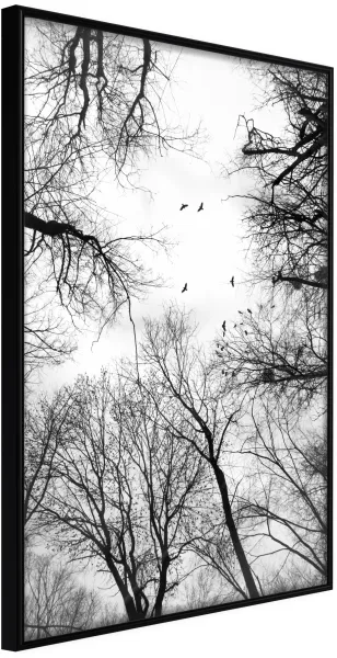 ARTGEIST Poszter kerettel - Treetops Fekete 40x60