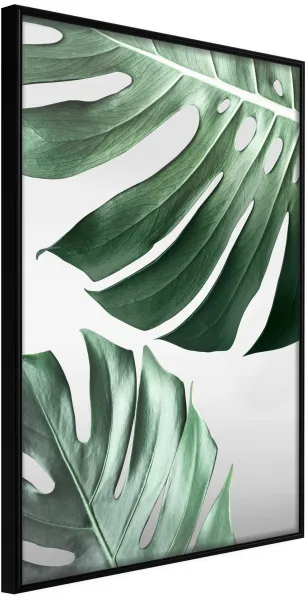 ARTGEIST Poszter kerettel - Leaves Like Swiss Cheese Fekete 30x45